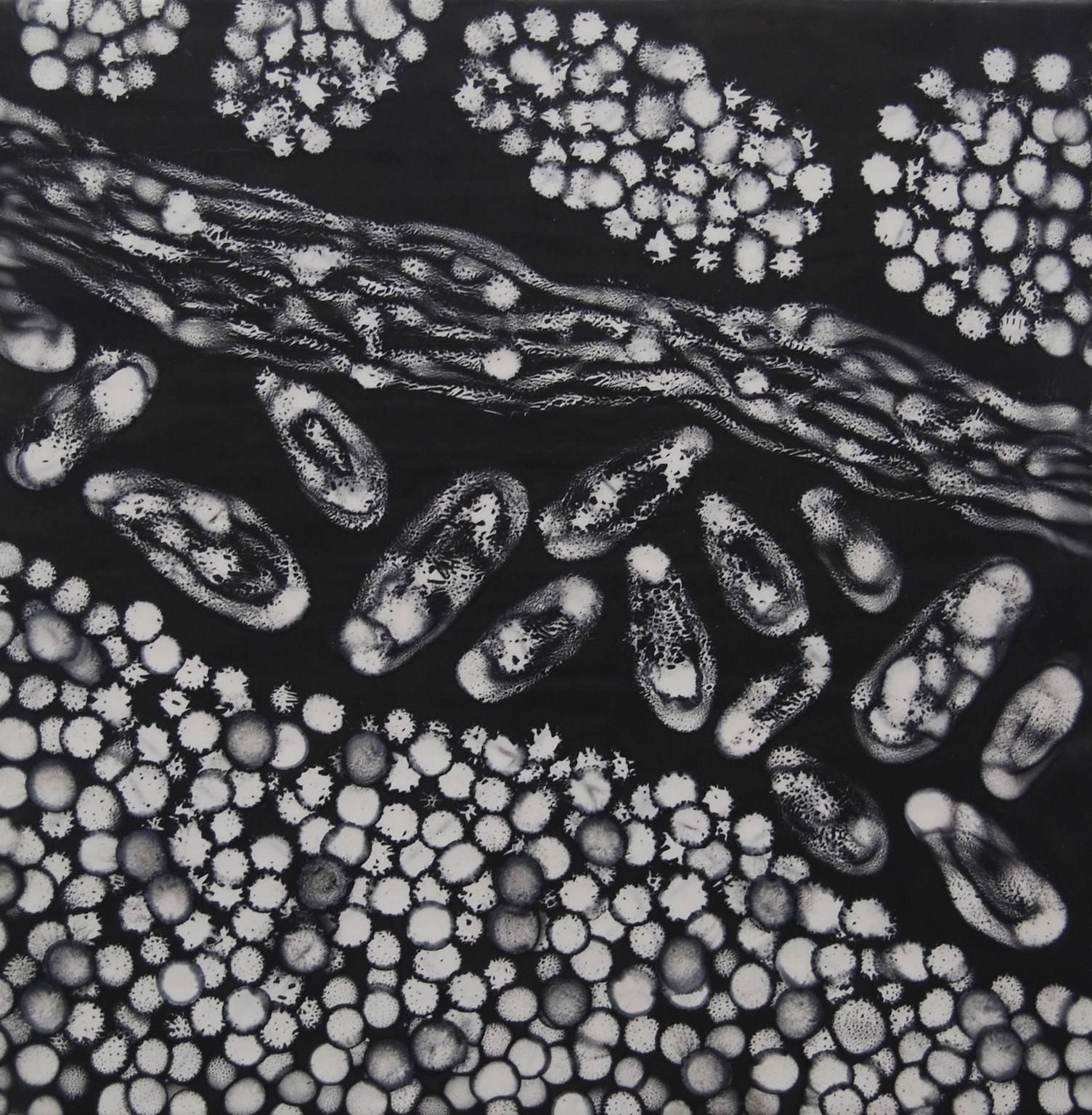 "Cells Alive 3", abstract, migration, black, white, graphite, encaustic painting