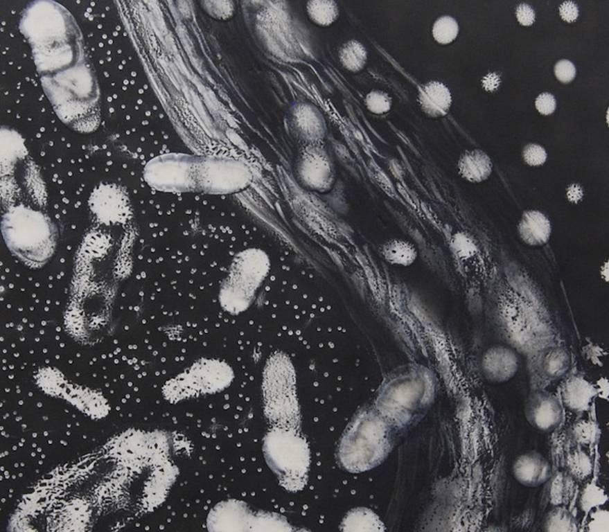 Kay Hartung’s “Cells Alive 4” is a imagined scene of cell activity which creates a sense of the energy involved in the process of growth. In a limited palette of black and white, cellular forms flow across the painting suggesting rapid migration.