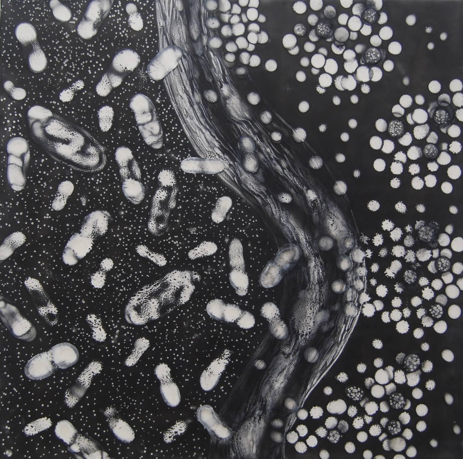 "Cells Alive 4", abstract, migration, black, white, graphite, encaustic painting - Painting by Kay Hartung