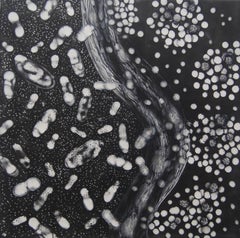 "Cells Alive 4", abstract, migration, black, white, graphite, encaustic painting