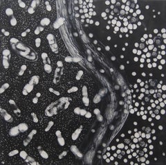 "Cells Alive 4", abstrait, migration, noir, blanc, graphite, peinture à l'encaustique.