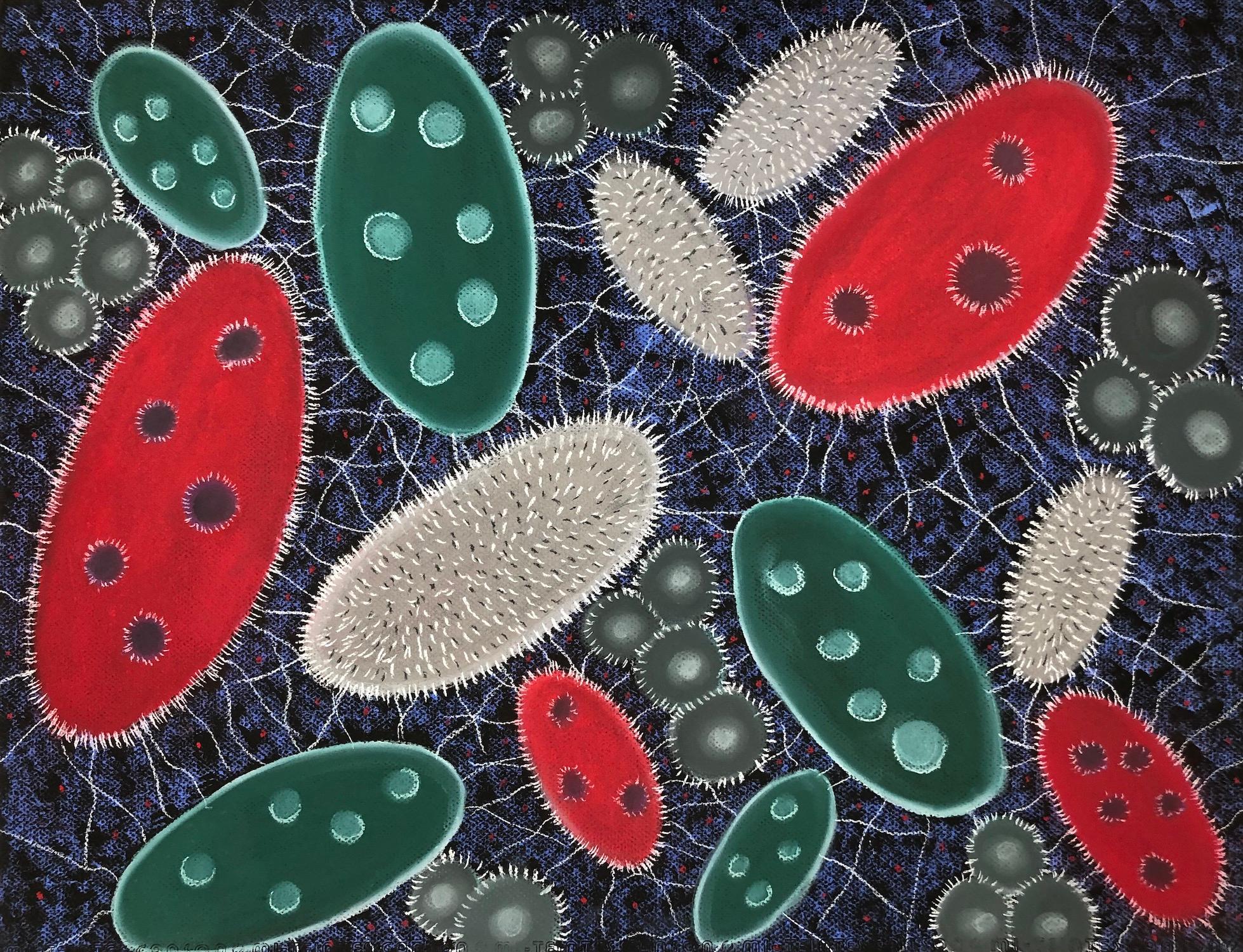 "Macroaction 13", pastel, drawing, microscopic, blue, red, green, grey, white