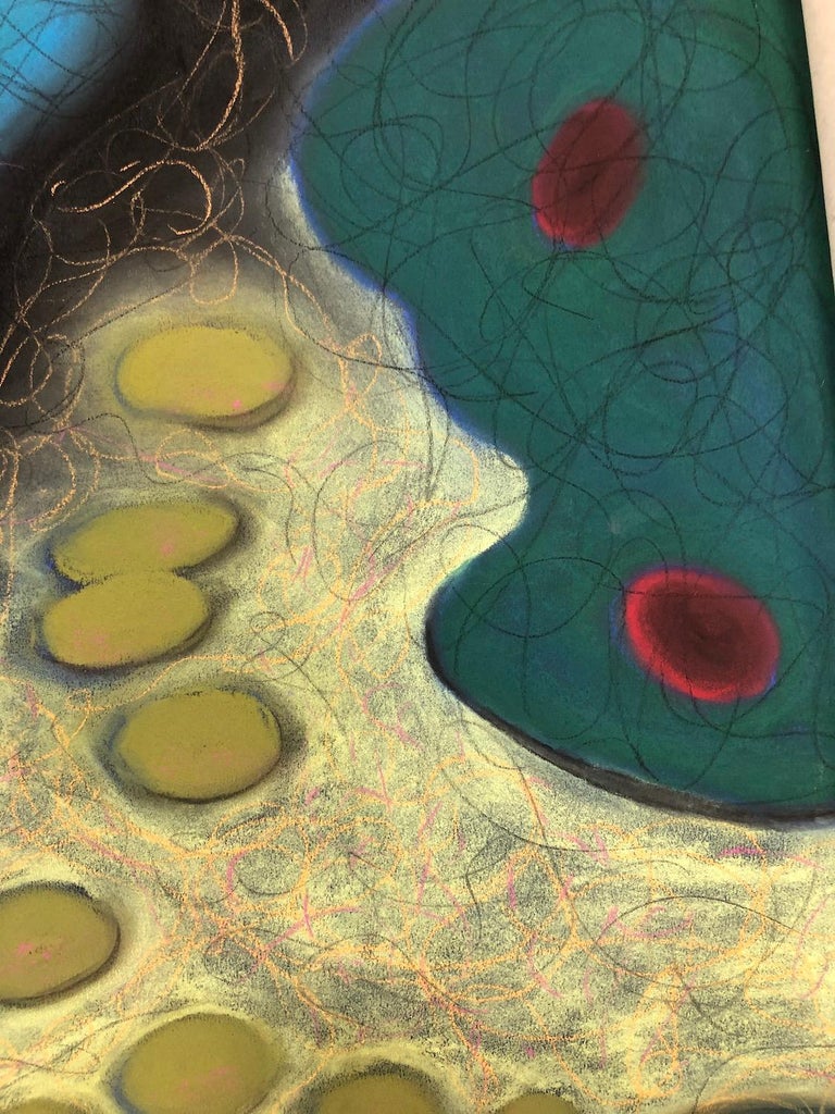 Kay Hartung’s “Macrovision 7” is a 19.5 x 25 inch pastel drawing done on black Canson Mi Teintes paper. In blues, greens and purples on a background of pale yellow the shapes form a cellular landscape. The use of the black paper intensifies the