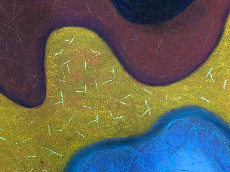 Kay Hartung’s “Macrovision 8” is a 19.5 x 25 inch pastel drawing done on black Canson Mi Teintes paper. In blue, orange and red on a background of greenish yellow, the shapes form a cellular landscape. The use of the black paper intensifies the
