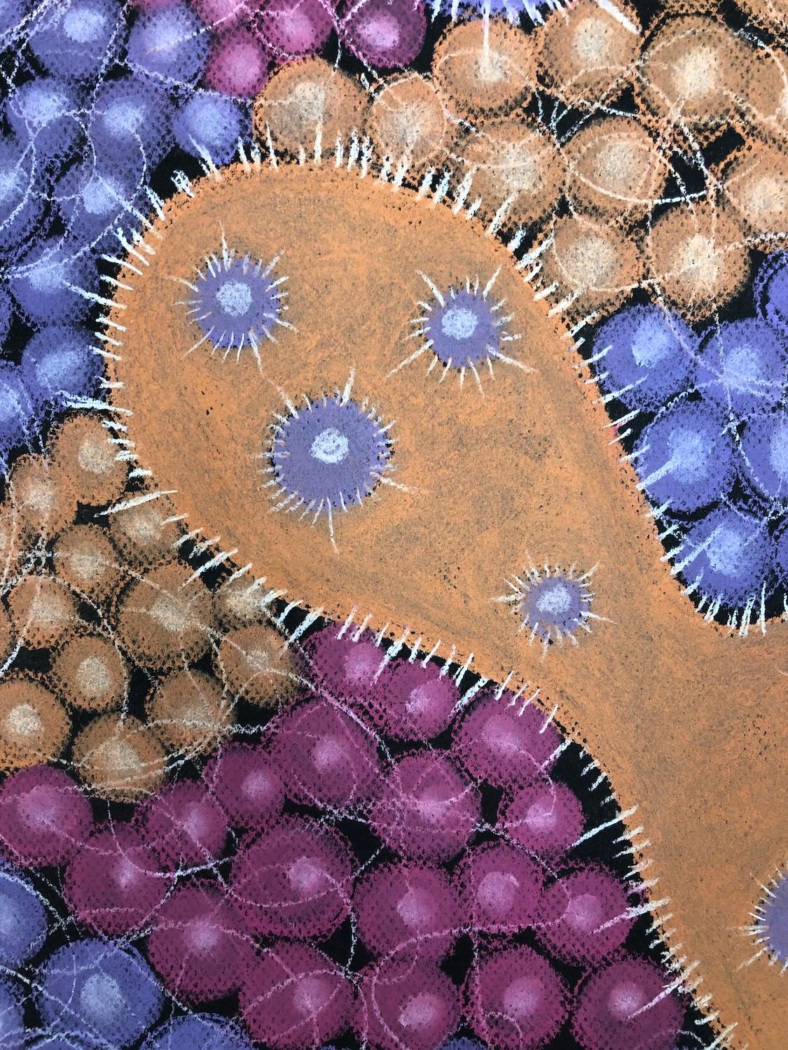 Kay Hartung’s “Microbial Gathering 1” is a 19.5 x 25 inch pastel drawing done on black Canson Mi Teintes paper. In colors of orange, pink, purple and white, the drawing is richly detailed with broad areas of color as well as fine lines. The use of