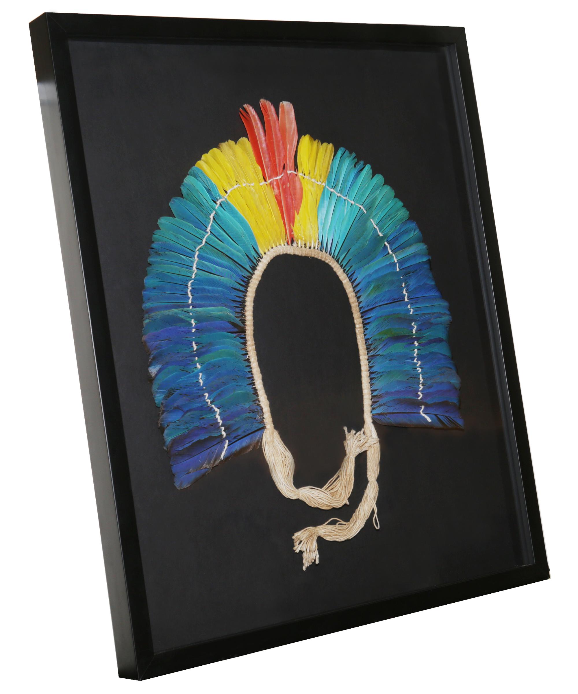 Headdress Kayapo 1 with natural feathers and
with cotton frame. Under glass with black wooden
frame. From Kayapo ethnic tribe, particularly from 
Mekragnoti tribe. From Rio Chiche, southeast Para 
state in Brazil. Pieces collected by Sir