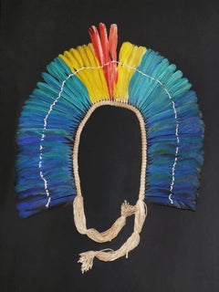 Kayapo 1 Headdress with Natural Feathers