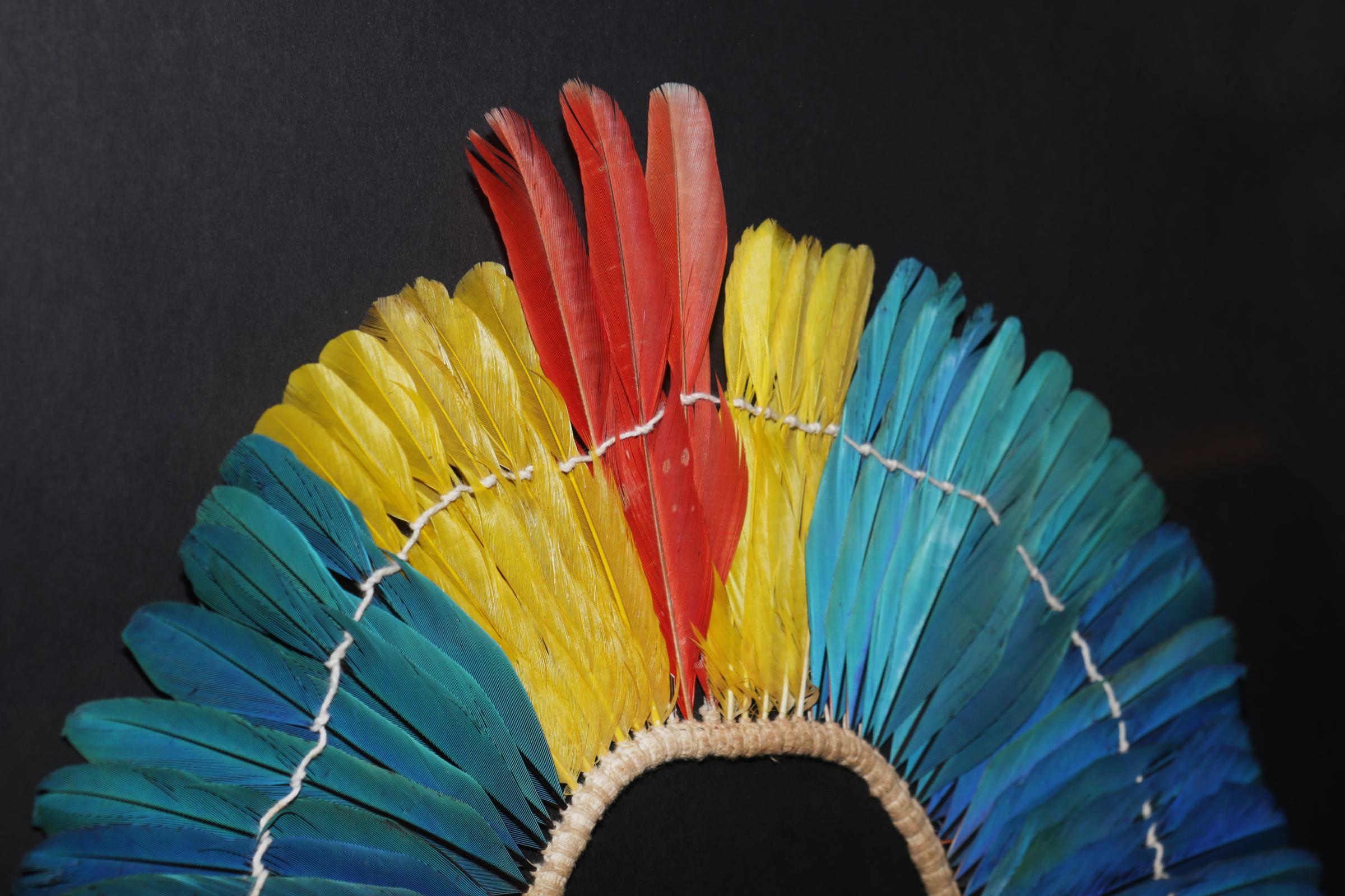 Hand-Crafted Kayapo 1 Headdress with Natural Feathers