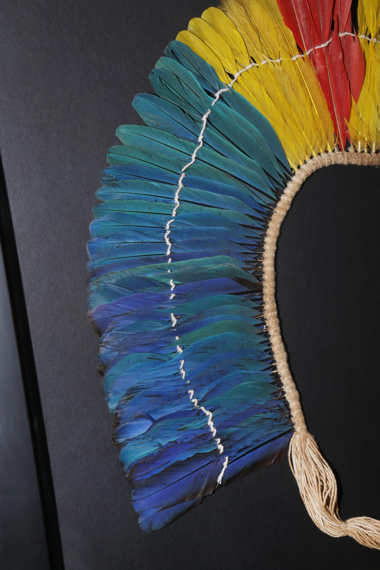 Mid-20th Century Kayapo 1 Headdress with Natural Feathers