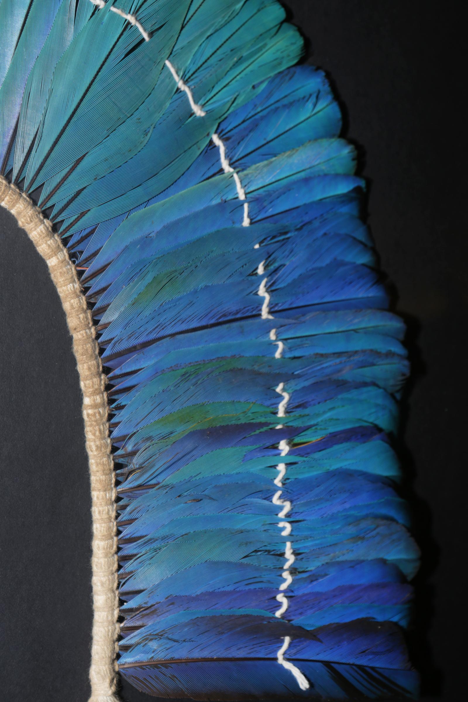 Kayapo 1 Headdress with Natural Feathers 1