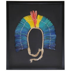 Kayapo 1 Headdress with Natural Feathers