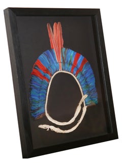 Kayapo 2 Headdress with Natural Feathers