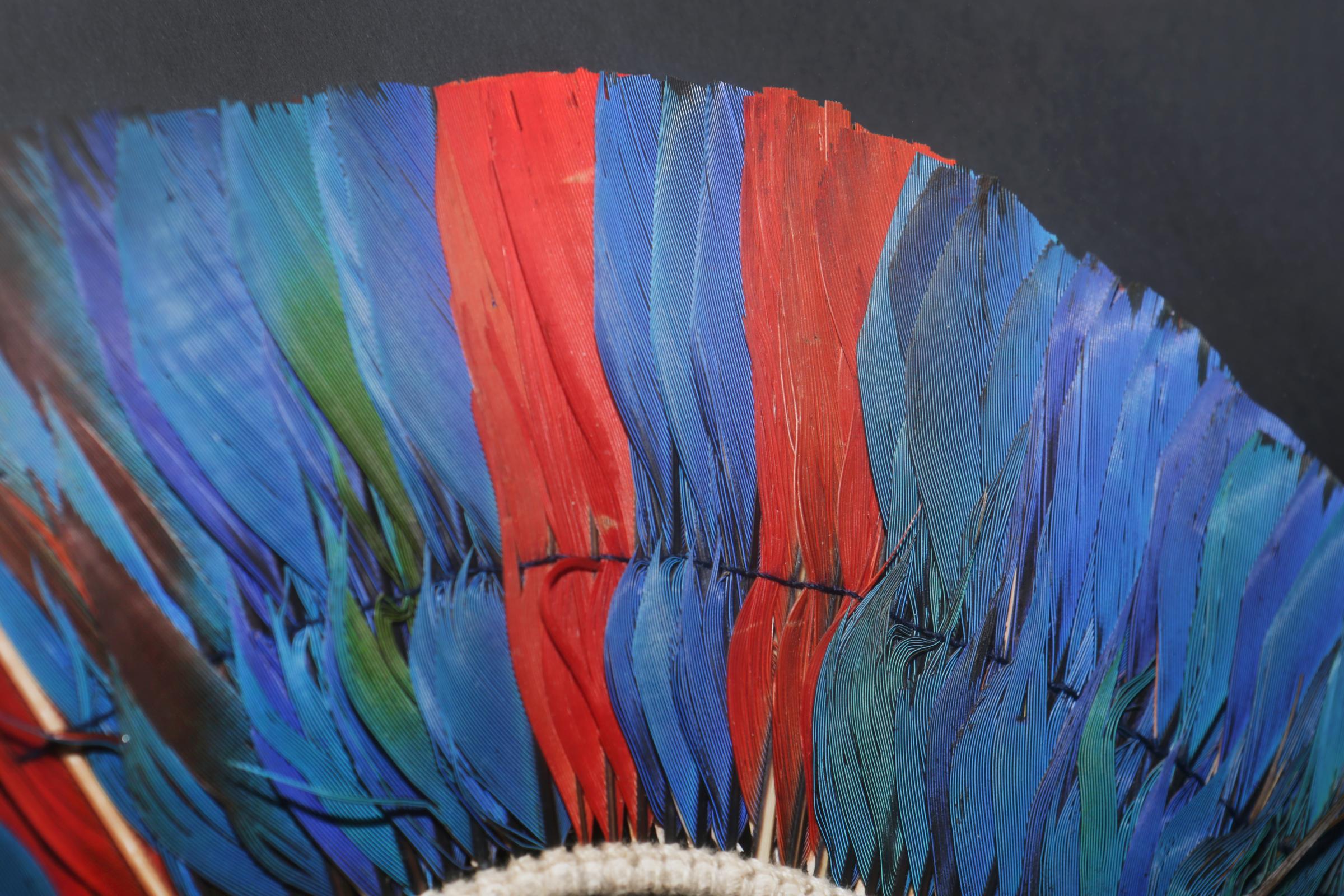 Hand-Crafted Kayapo 2 Headdress with Natural Feathers