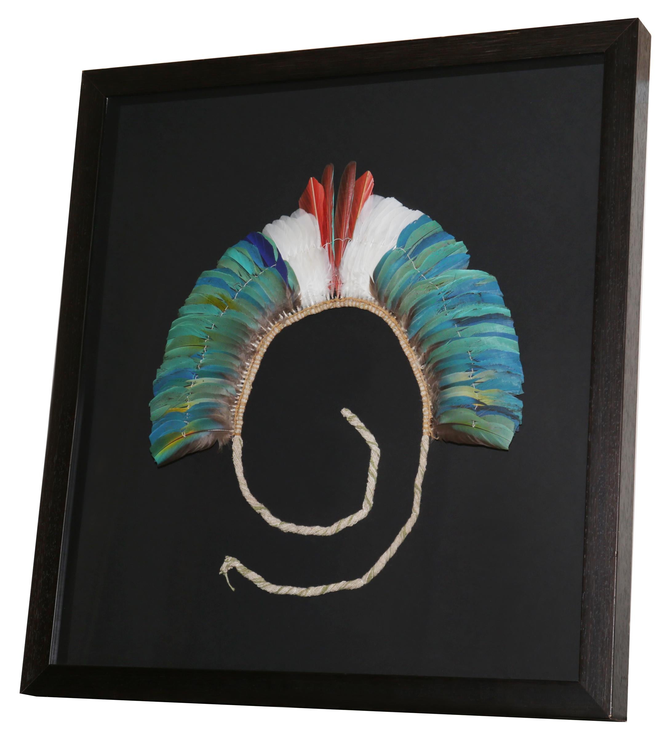 Headdress Kayapo 3 with natural feathers and
with cotton frame. Under glass with black wooden
frame. From Kayapo ethnic tribe, particularly from
Mekragnoti tribe. From Rio Chiche, southeast Para
state in Brazil. Pieces collected by Sir André