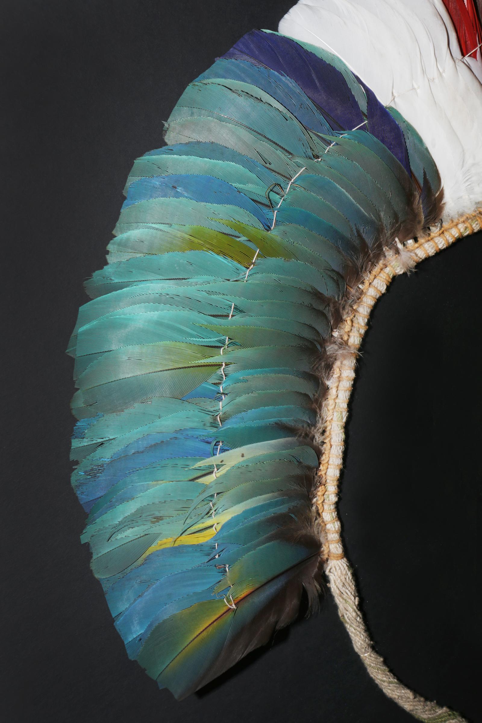 Kayapo 3 Headdress with Natural Feathers In Excellent Condition In Paris, FR