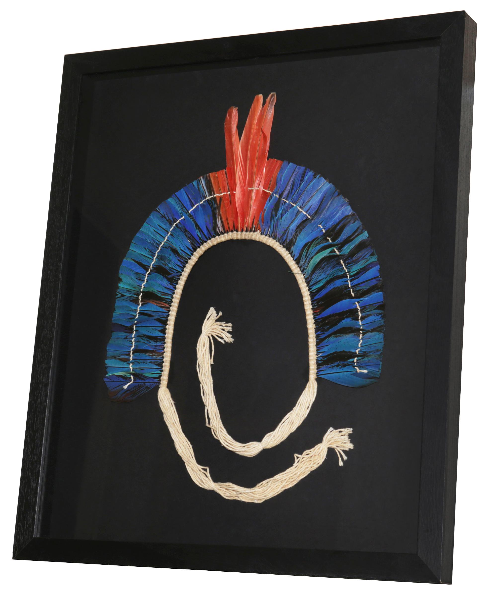 Headdress Kayapo 4 with natural feathers and
with cotton frame. Under glass with black wooden
frame. From Kayapo ethnic tribe, particularly from 
Mekragnoti tribe. From Rio Chiche, southeast Para 
state in Brazil. Pieces collected by Sir André
