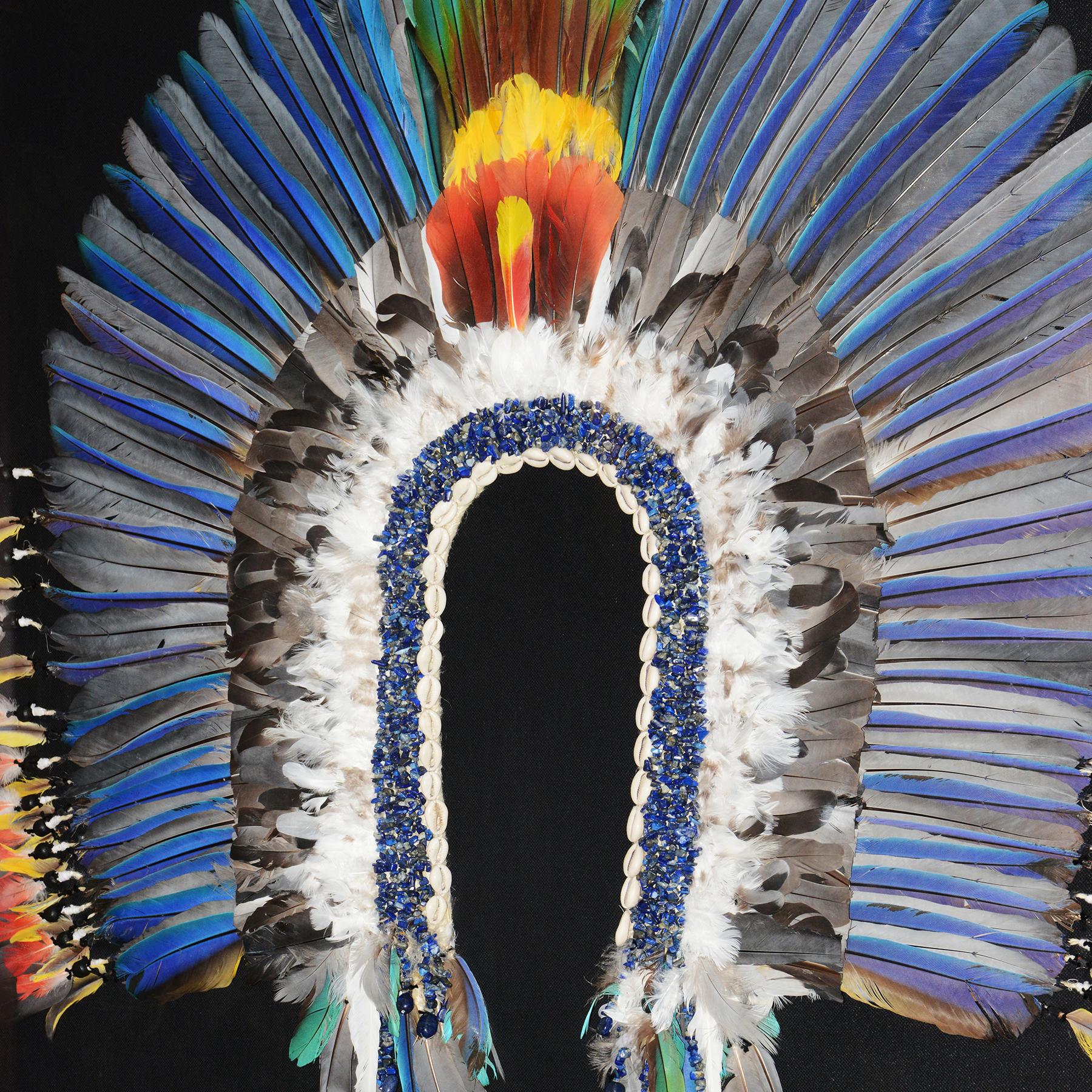 Feathers Kayapo Style Artwork Headdress For Sale
