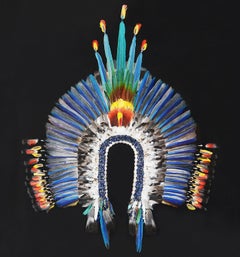 Contemporary Kayapo-Style Artwork Headdress With Moulting Feathers