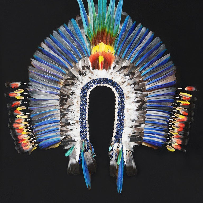 Kayapo Style Artwork Headdress For Sale at 1stDibs