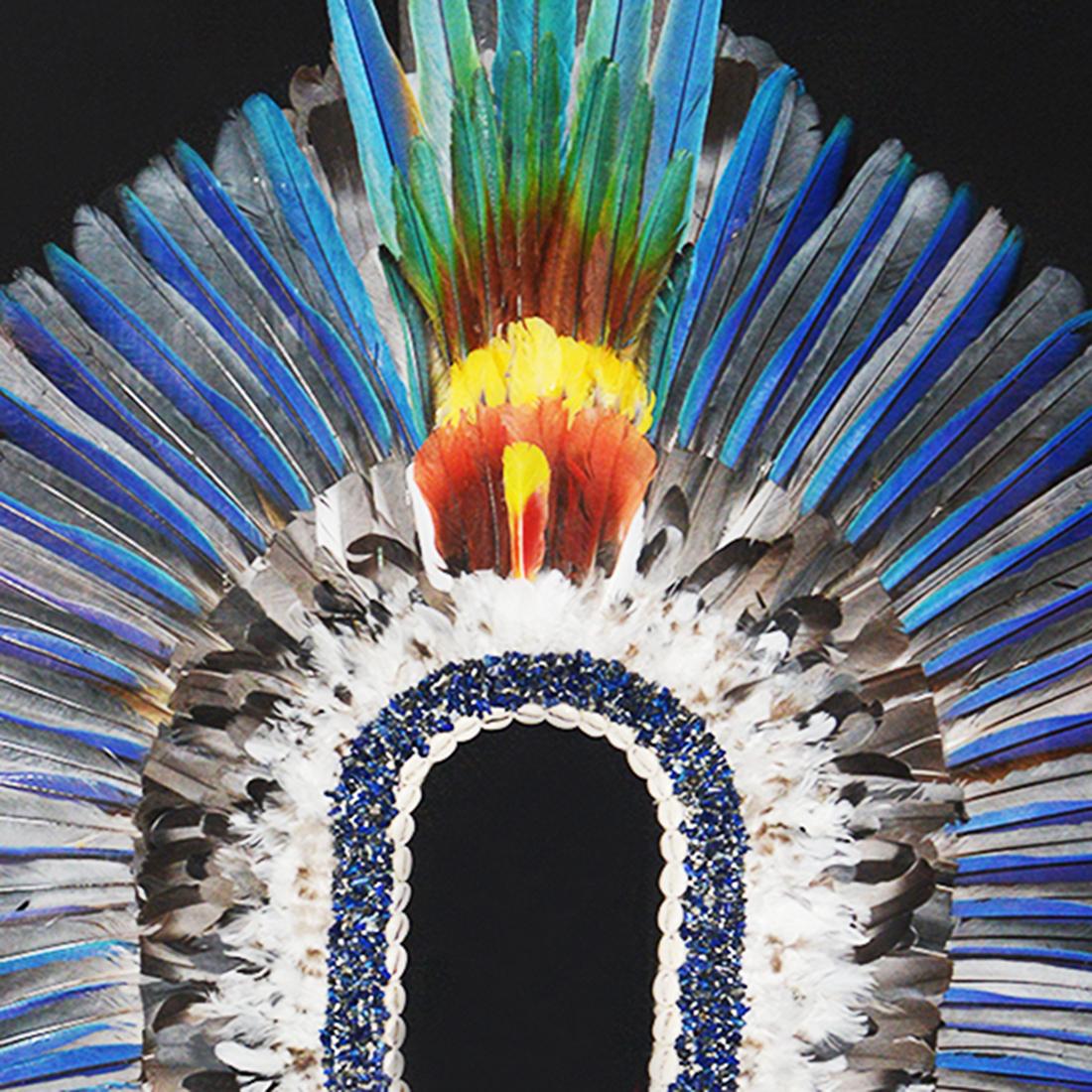 Tribal Contemporary Kayapo-Style Artwork Headdress With Moulting Feathers For Sale
