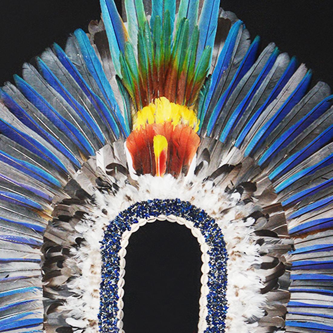 French Kayapo Style Artwork Headdress For Sale