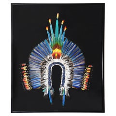 Contemporary Kayapo-Style Artwork Headdress With Moulting Feathers