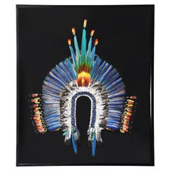 Kayapo Style Artwork Headdress