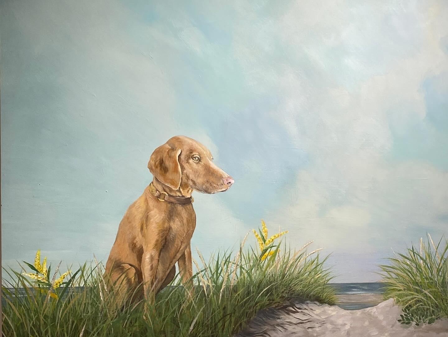 Playa Tranquila - Perro en Paisaje Costero Pintura sobre Panel, Cielo Azul y Nubes - Painting Realista de Kazaan Viveiros