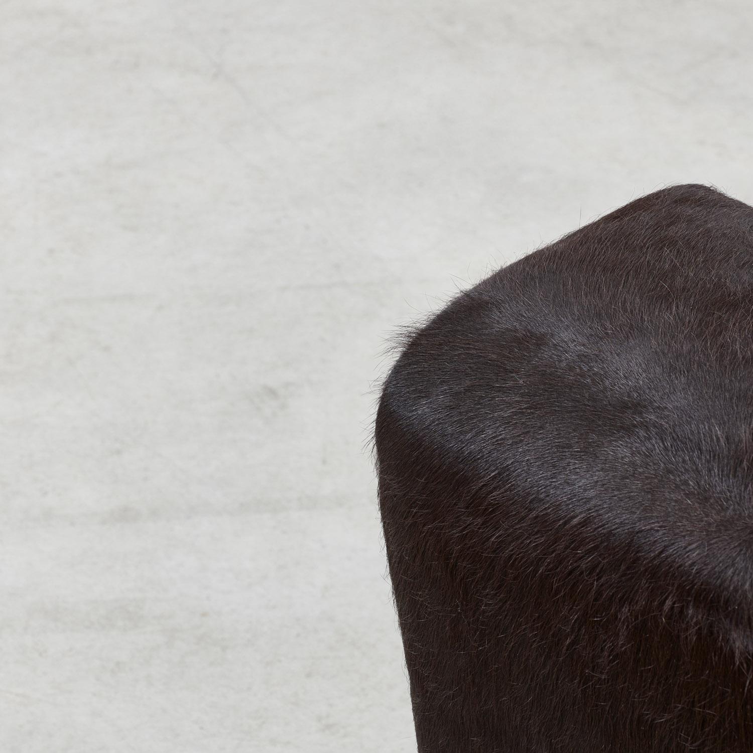 Kazuhide Takahama three-seater Marcel sofa for Gavina, Italy, 1965 4
