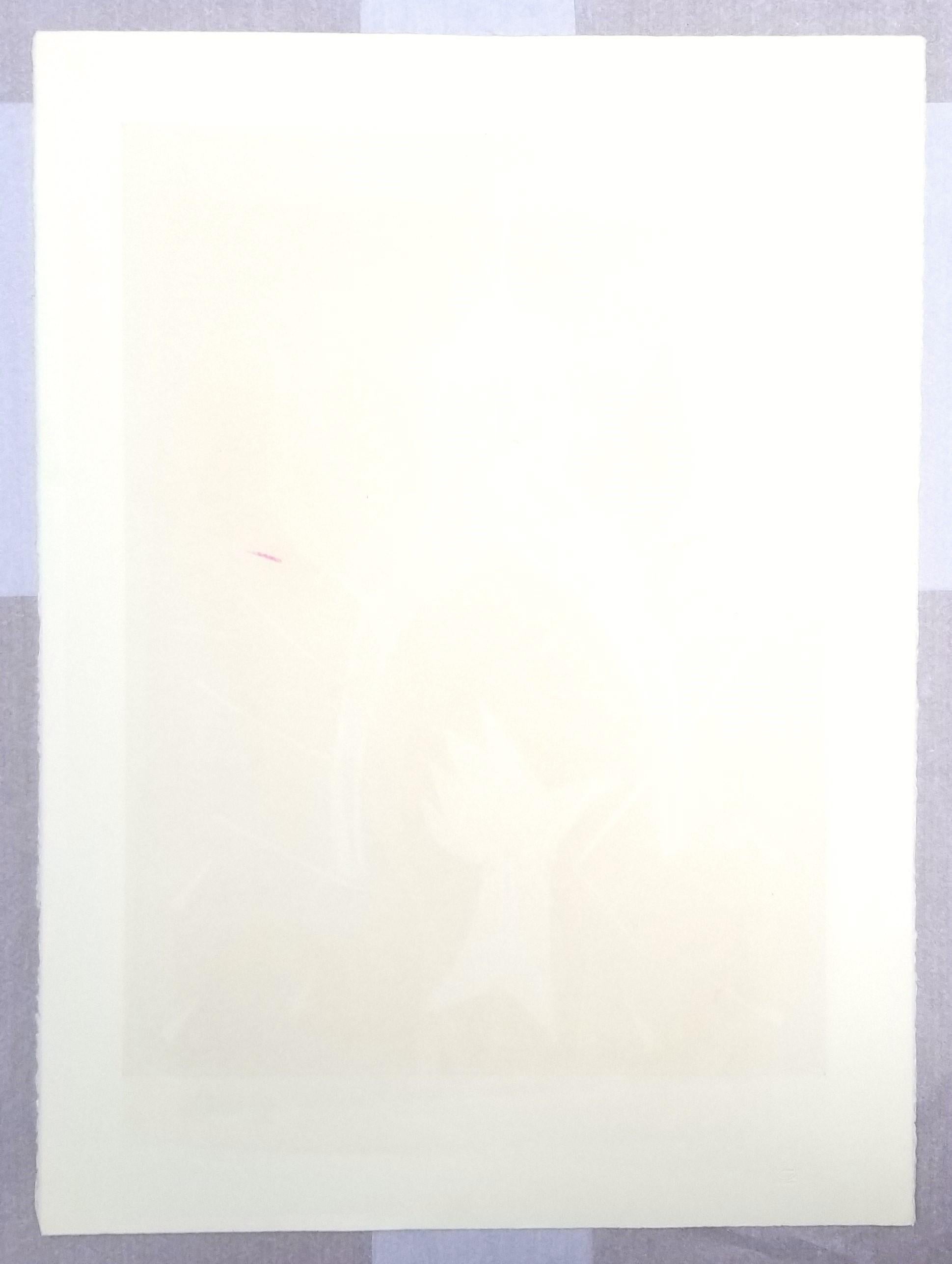 Una pinza /// Kazuhide Yamazaki Monotipo Contemporaneo Pop Art Strumenti Giallo Stampa in vendita 14