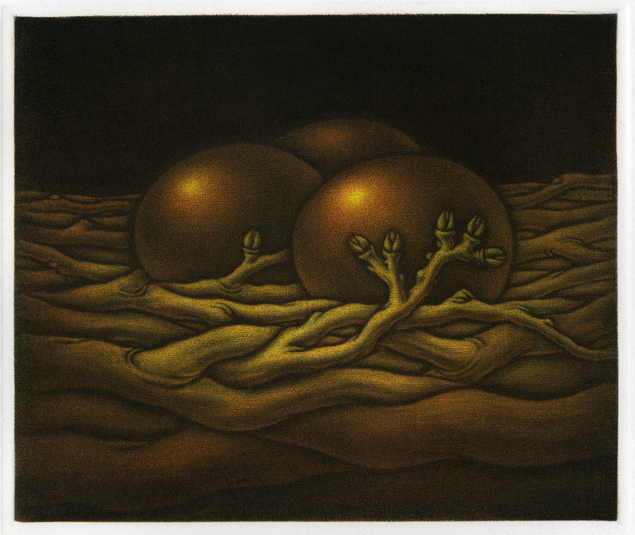 Awakening (Schwarz), Landscape Print, von Kazuhisa Honda