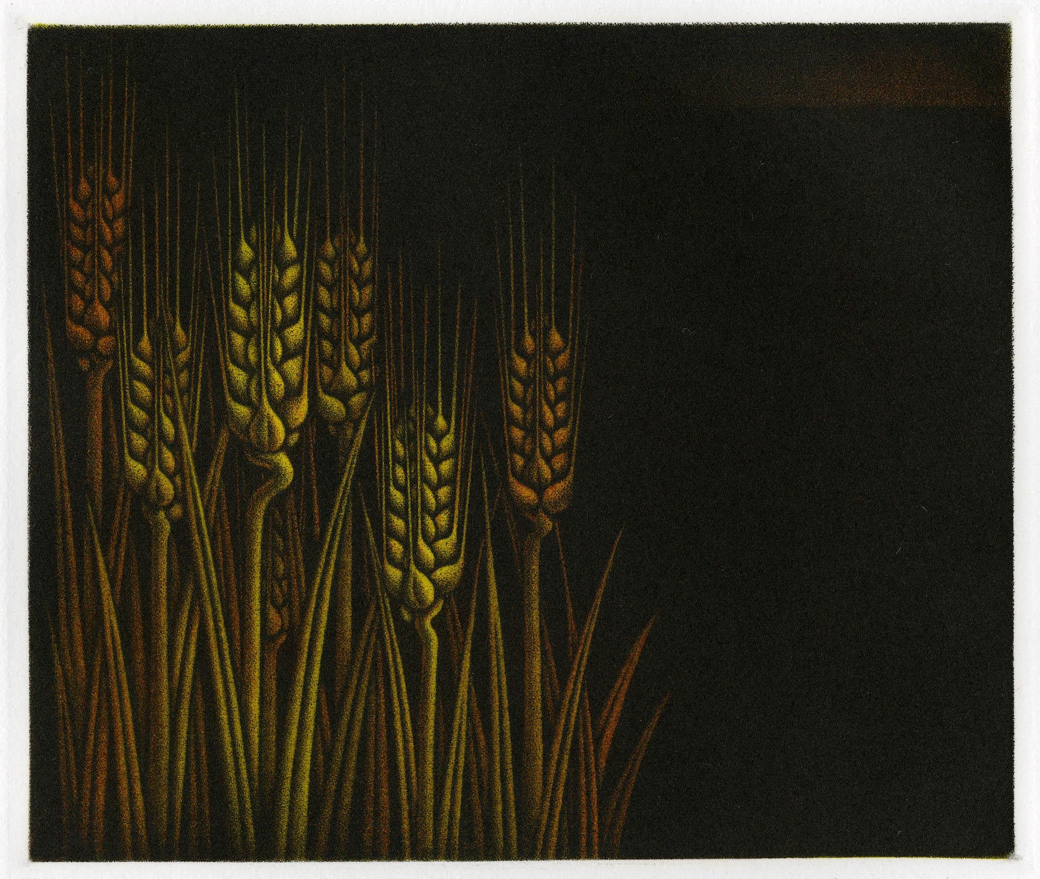 Kazuhisa Honda Landscape Print - Awakening