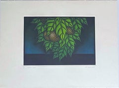Noche en vela, preciosa Mezzotinta en color Rives BFK Firmado 18/50 Artista japonés