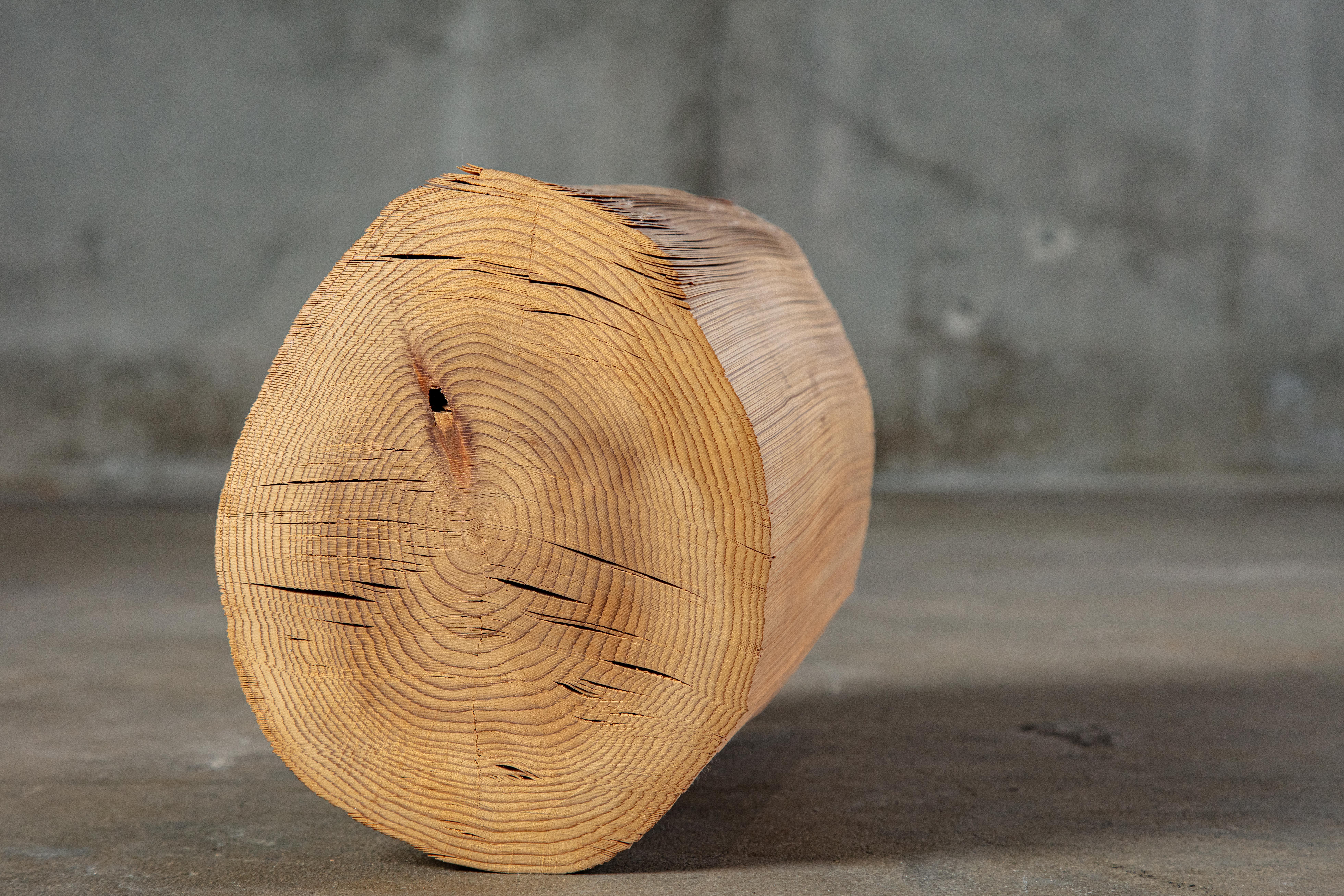 Kazuo Kadonaga Peeled Wood Log 'Wood No. 5' For Sale 6