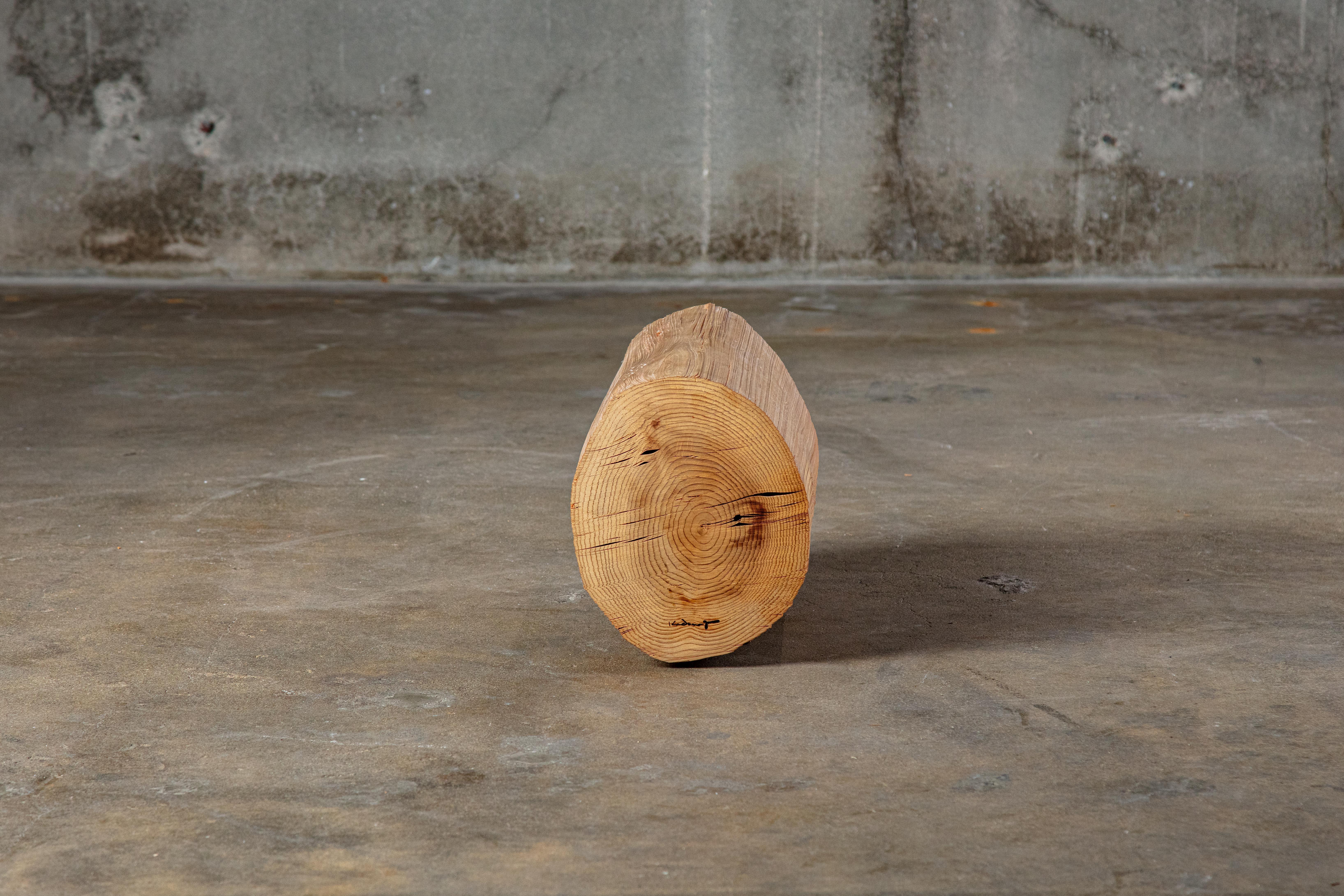 Modern Kazuo Kadonaga Peeled Wood Log 'Wood No. 5' For Sale