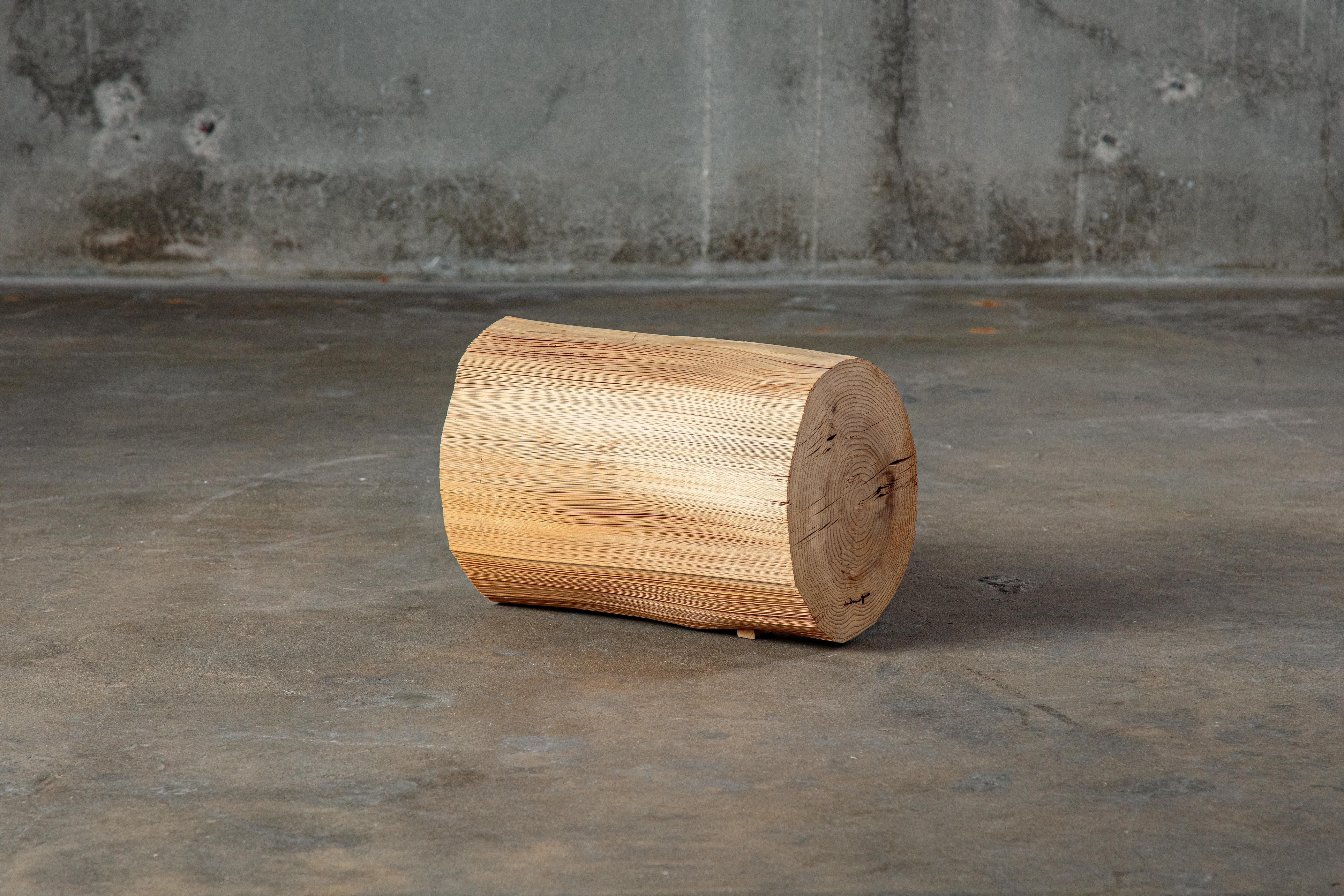 Japanese Kazuo Kadonaga Peeled Wood Log 'Wood No. 5' For Sale