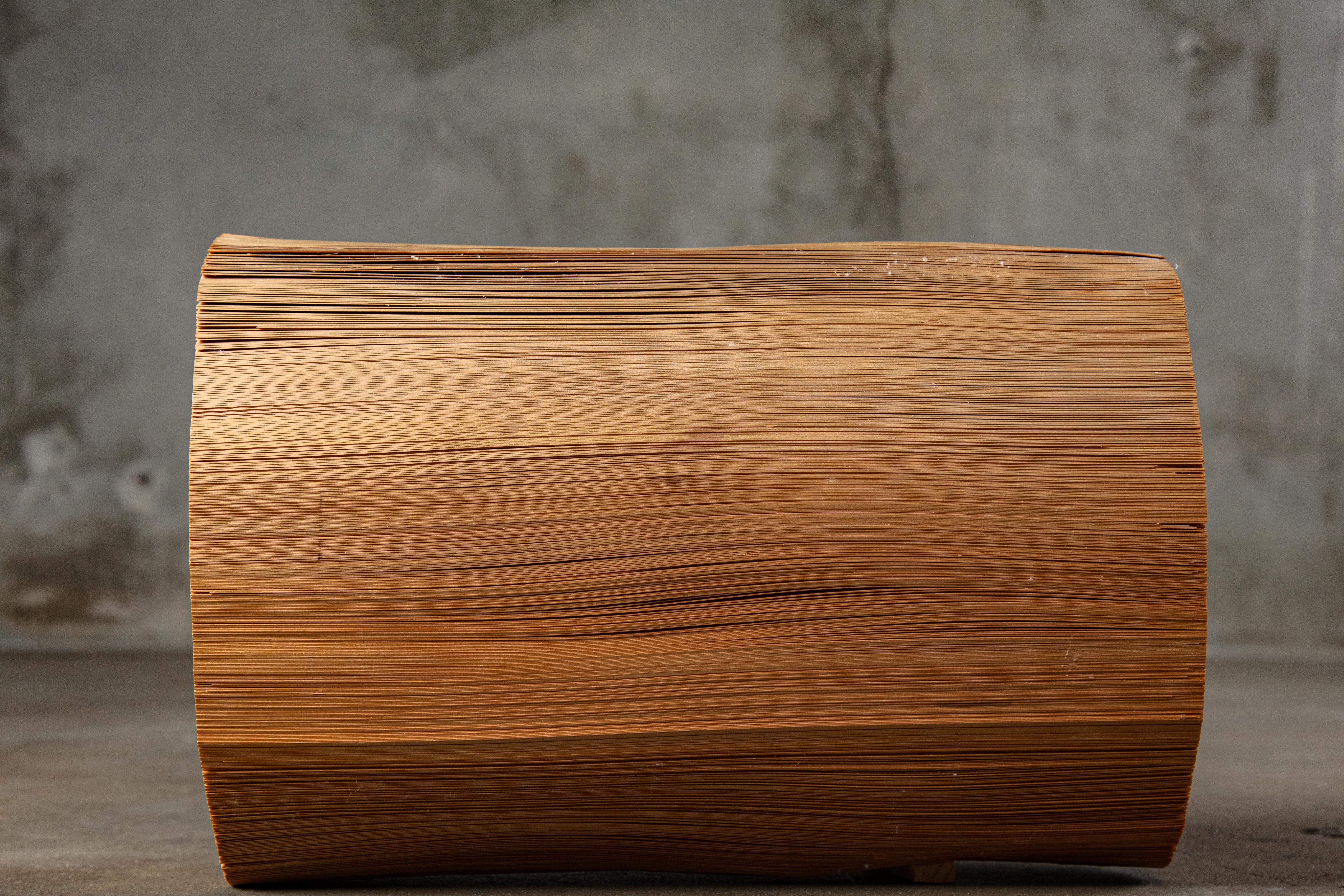 Late 20th Century Kazuo Kadonaga Peeled Wood Log 'Wood No. 5' For Sale