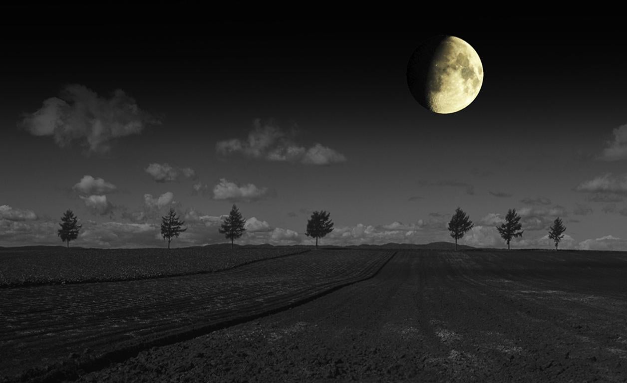 Kazz Morishita Landscape Photograph - Black Horizon, from Moonlight Serenade