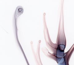 Worry, Original Contemporary Minimalist Abstract Ink Painting on Yupo Paper