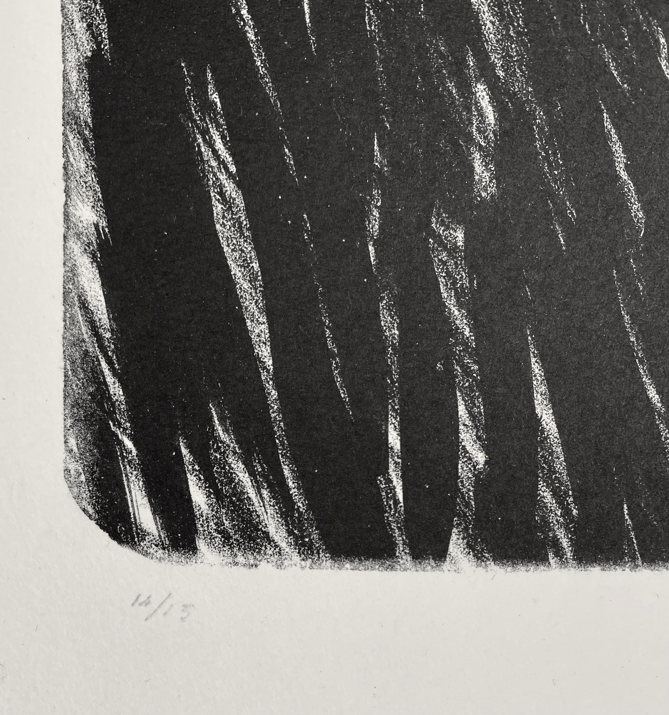 Kees Van Dongen - Torso
Lithographie, 1924
Auflage: 15 Exemplare auf Japon.
Signiert mit dem Signaturstempel des Künstlers und signiert im Stein. Mit Bleistift nummeriert (14/15)
Mit dem Blindstempel der Galerie des Peintres-Graveurs