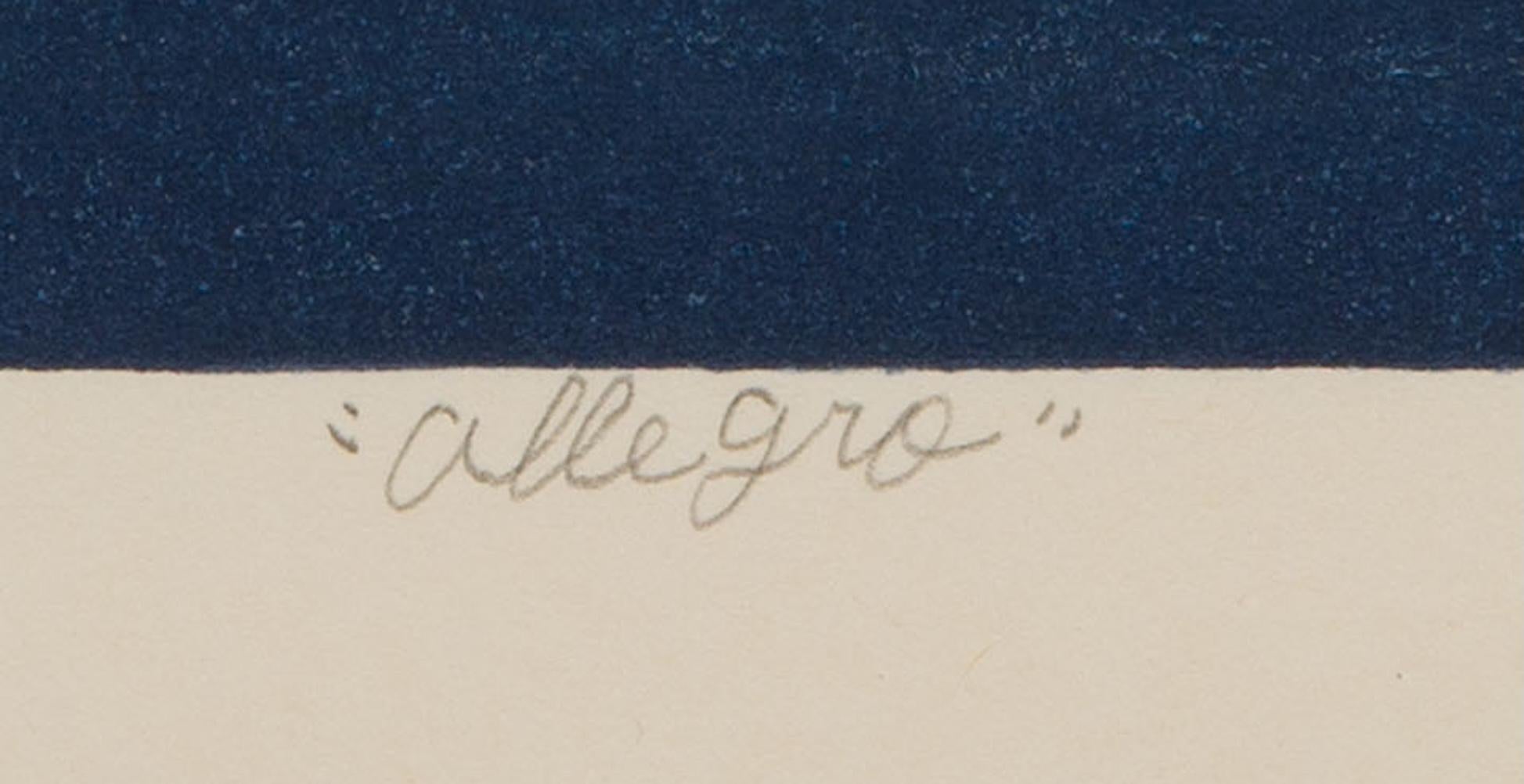 Allegro, Ukiyo-e landscape and sunset woodblock print, 2018 - Gray Landscape Print by Keiji Shinohara