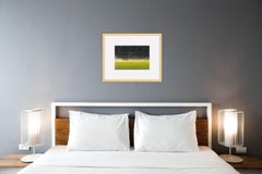 Keiji Shinohara, Accelerondo, paisaje xilográfico Ukiyo-e, 2005