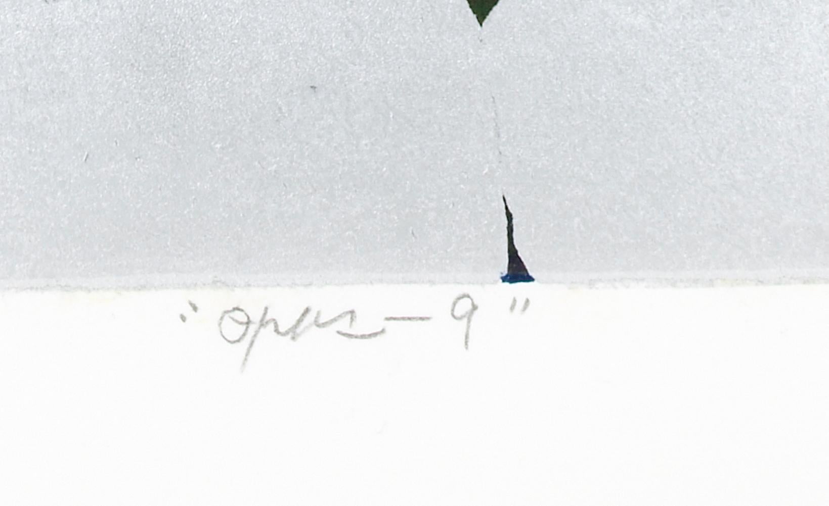 Opus 9, Abstract Sunset Landscape Woodcut Monoprint, 22 x 21 IN Framed For Sale 2