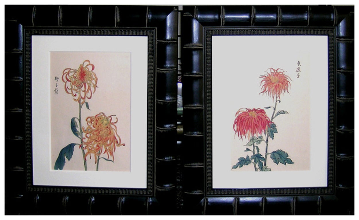 Chrysanthemum Orange - Academic Print by Keika Hasegawa