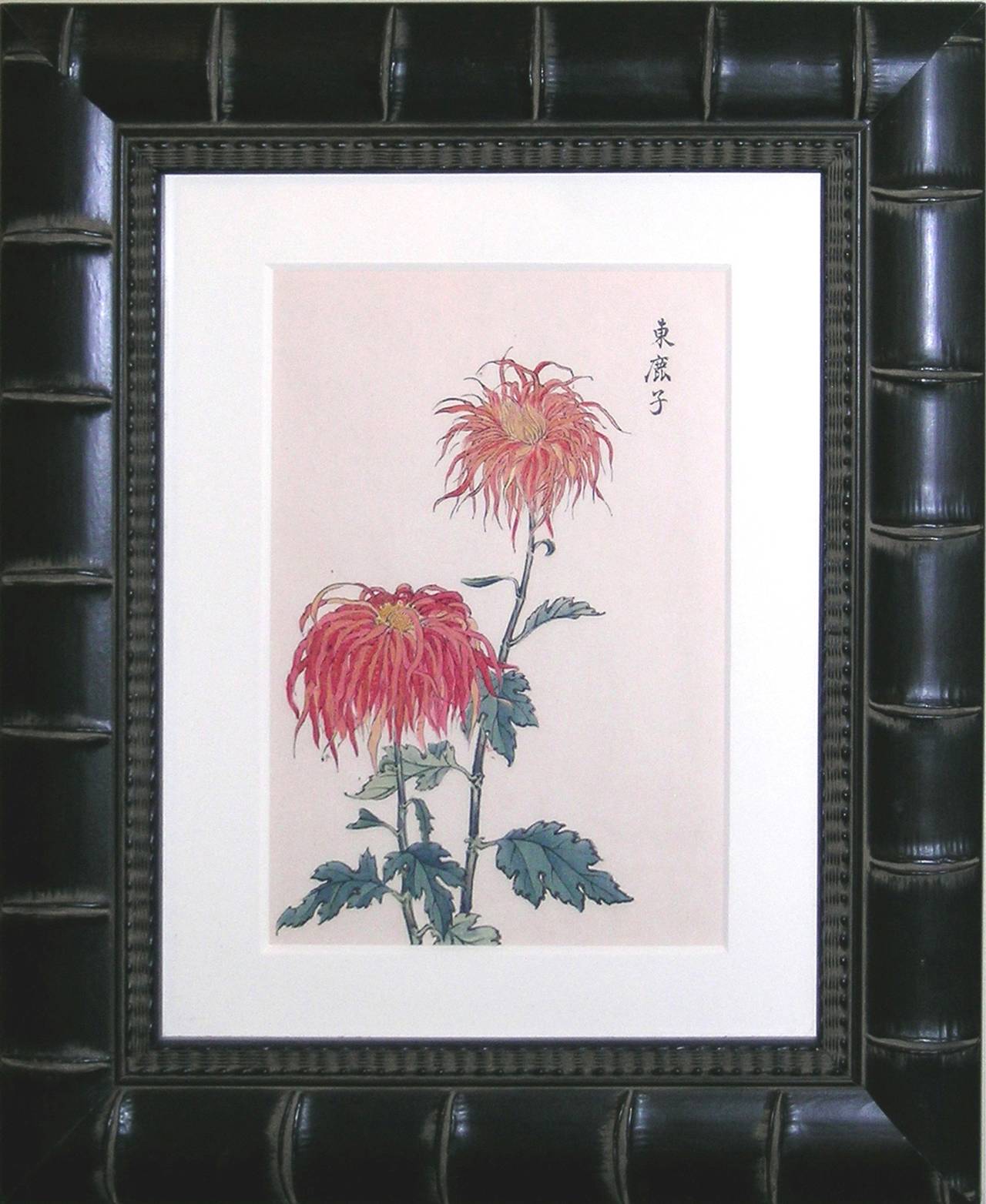 Chrysanthemum Orange - Print by Keika Hasegawa
