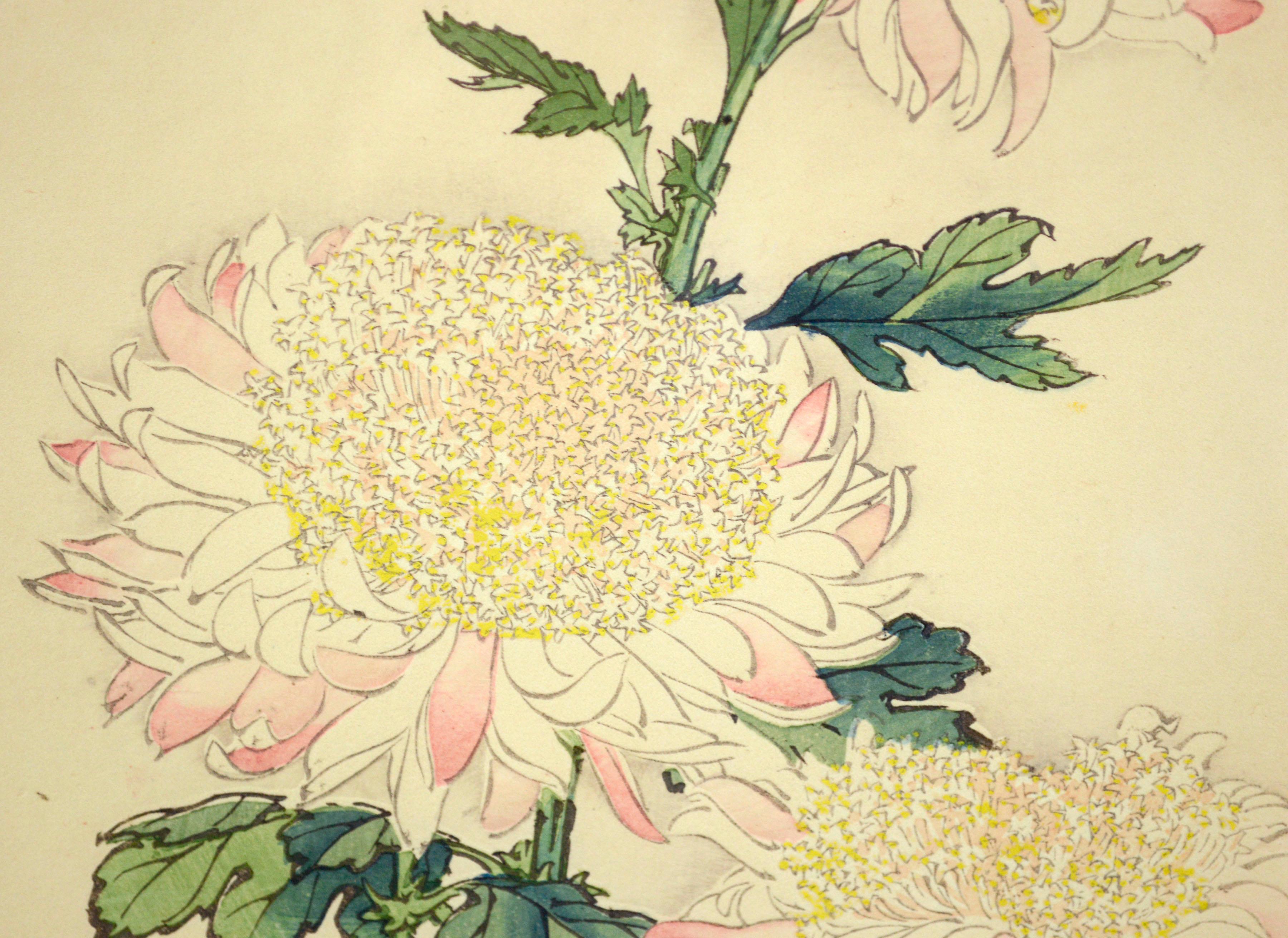 vintage chrysanthemum print