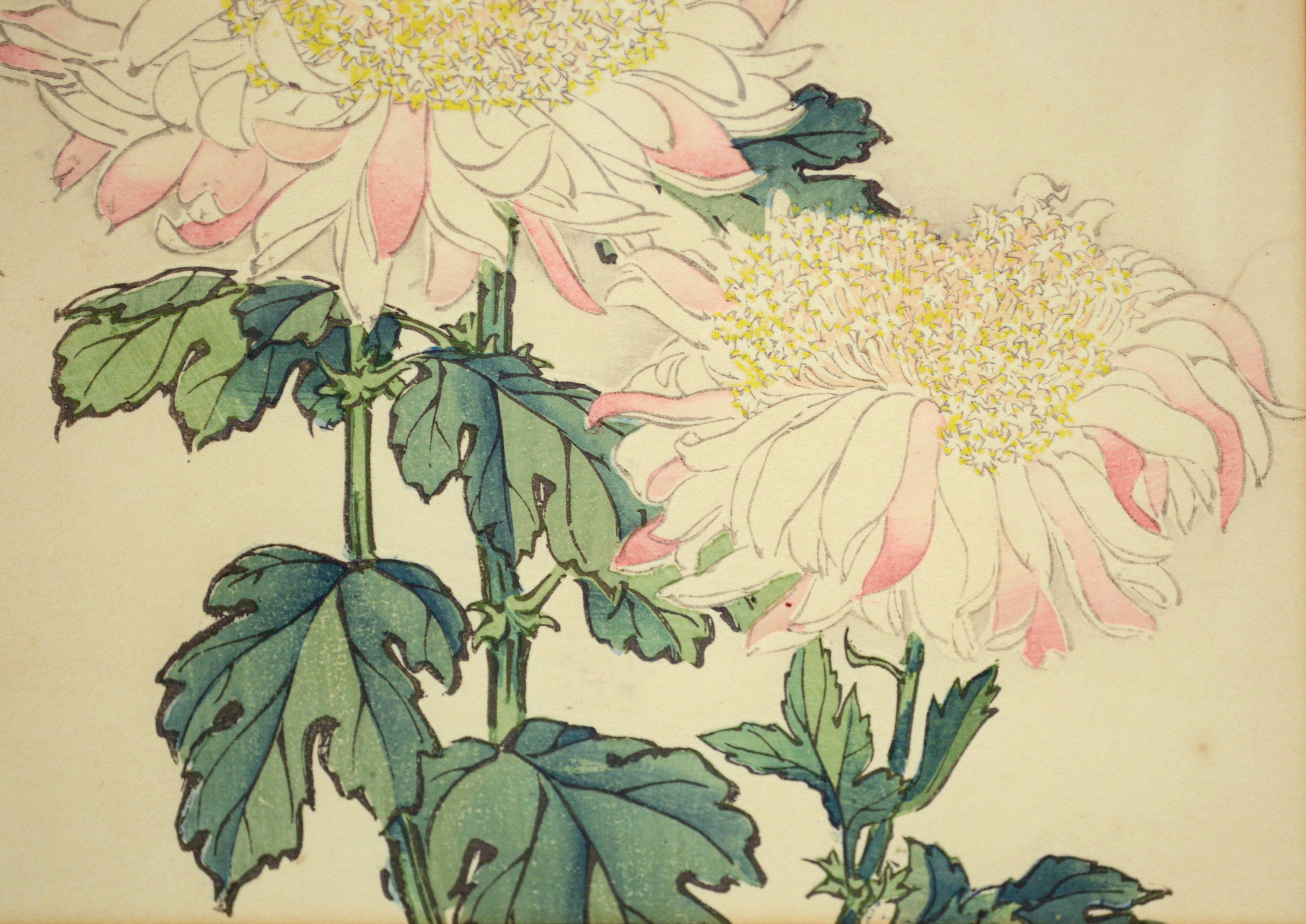 Chrysanthemum, Plate 8 - Late 19th Century Botanical Japanese Woodblock Print  - Beige Still-Life Print by Keika Hasegawa