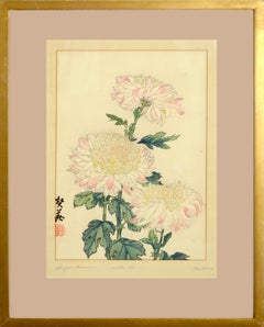 Chrysanthemum, Plate 8 - Late 19th Century Botanical Japanese Woodblock Print