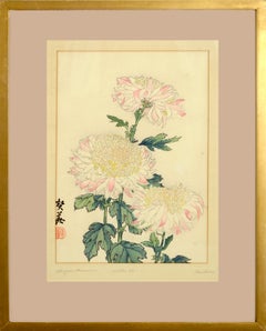 Chrysanthème, assiette 8 - Impression sur bois botanique japonaise de la fin du 19ème siècle 