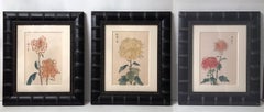 Chrysanthemum Yellow B